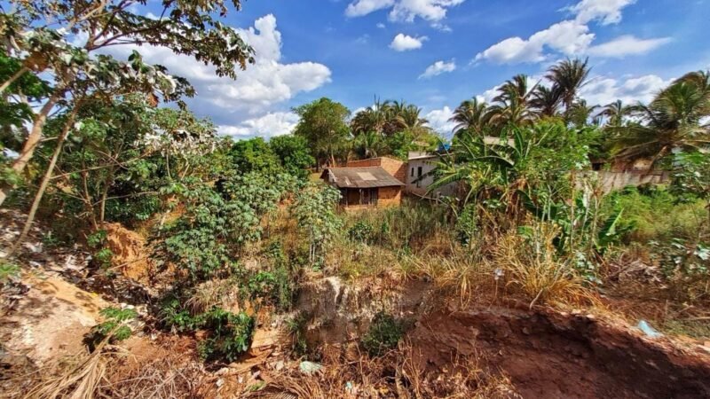 Estudo mostra que mais de 700 pessoas vivem em área de risco na fronteira de MT