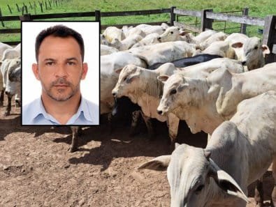 Vereador é preso suspeito de comprar gado furtado avaliado em R$ 120 mil em Mato Grosso