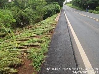 Pista é liberada após barragem  particular romper e provocar alagamento na Estrada da Guia