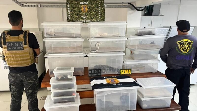 PC mira biólogo por manutenção irregular de animais silvestres e exóticos em bairro de Cuiabá