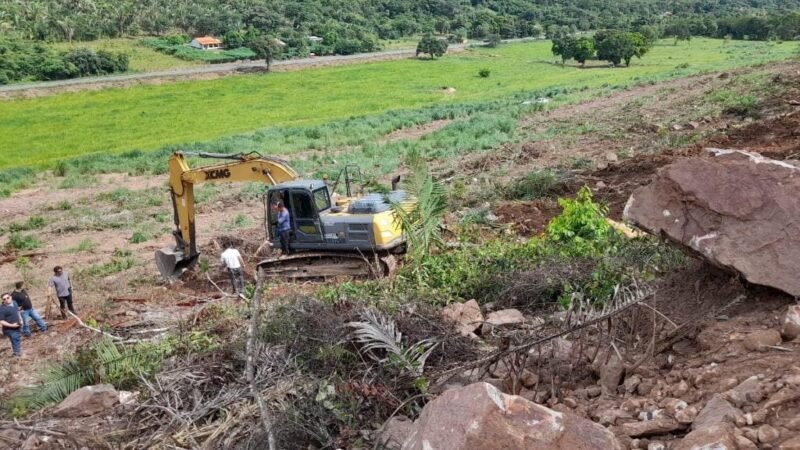 PC flagra desmate em área de conservação no Pantanal; local era preparado para pastagem