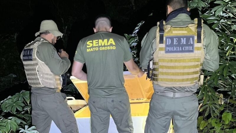 PC intensifica combate à pesca predatória com nova operação em Barão de Melgaço e Cuiabá