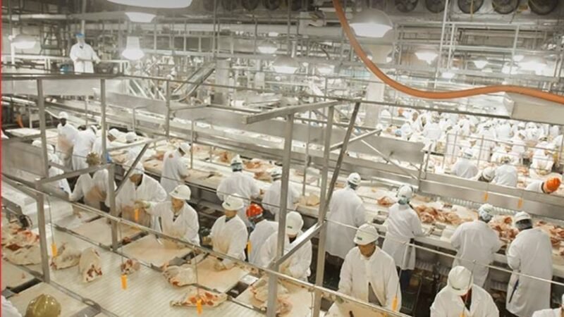 JBS firma acordo e pagará R$ 11,7 milhões por funcionários trabalharem 16h por dia em MT