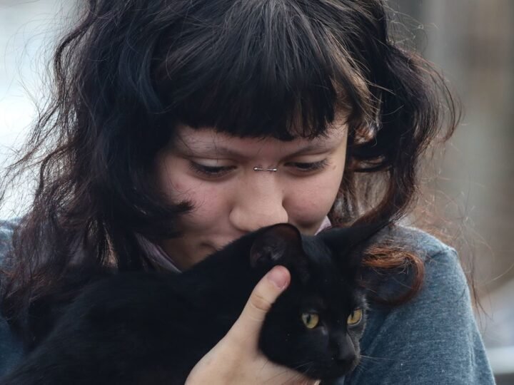 Programa da Prefeitura de SP faz castração gratuita de cães e gatos