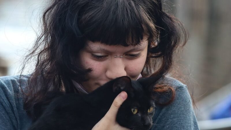Programa da Prefeitura de SP faz castração gratuita de cães e gatos