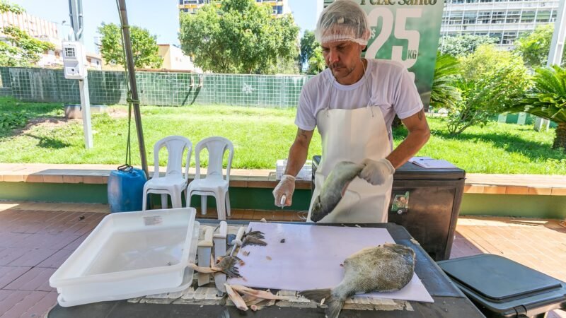 Peixe Santo a R$ 25 atrai consumidores e segue até sexta-feira em Cuiabá