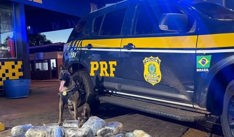 Passageiro é preso com 38 kg de supermaconha em ônibus na rodovia BR-364 em MT