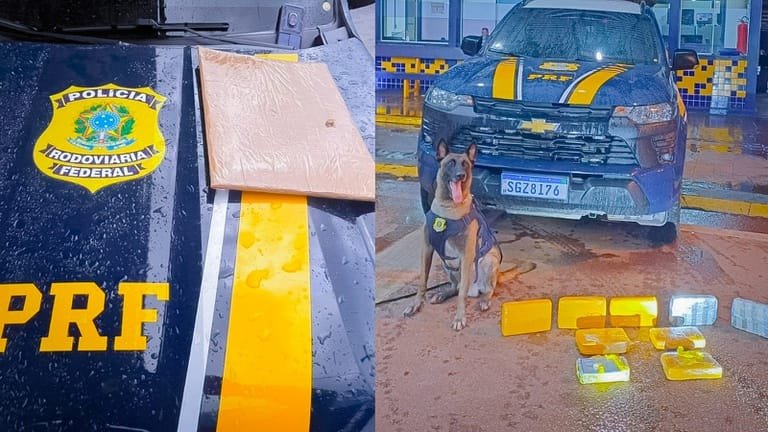 PRF prende dois traficantes com drogas em ônibus na rodovia BR-364 em Mato Grosso
