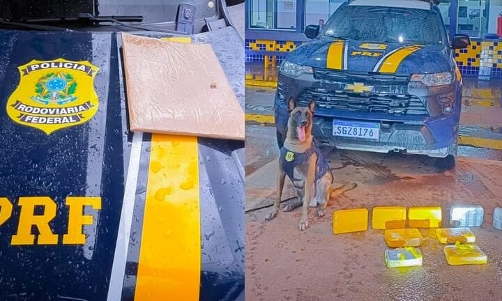 PRF prende dois traficantes com drogas em ônibus na rodovia BR-364 em MT