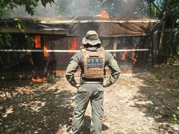 Polícia prende quatro pessoas e derruba construções irregulares em área de preservação APP