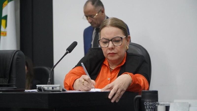 Paula Calil nega articulação para  mudar regimento e disputar reeleição da presidência