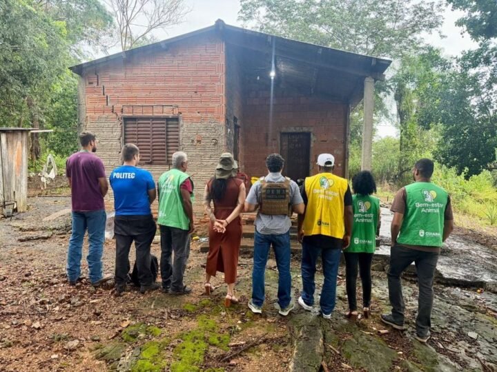 Polícia Civil identifica ex-presidiário por maus-tratos e abuso sexual contra cachorro
