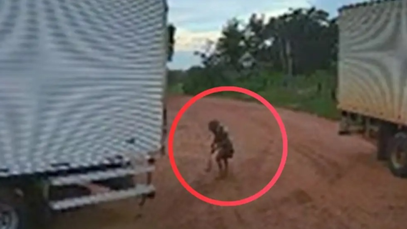 Vídeo mostra momento em que caminhão atropela e mata idosa de 104 anos em VG