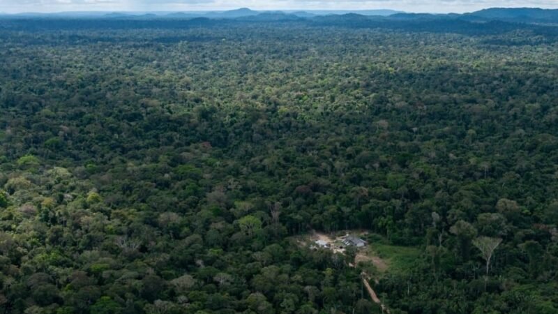 Justiça Federal determina retomada da demarcação de Terra Indígena do povo Boe/Bororo em MT