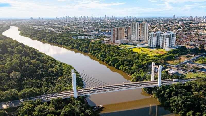 Após derrubada de árvores, Cuiabá decreta regras mais rígidas para poda de árvores