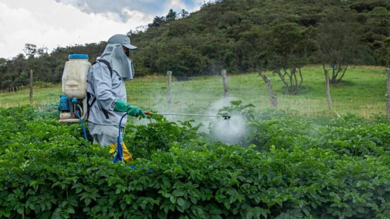 Fazendeiro terá que pagar R$ 40 mil por danos causados por agrotóxico em lavouras vizinhas