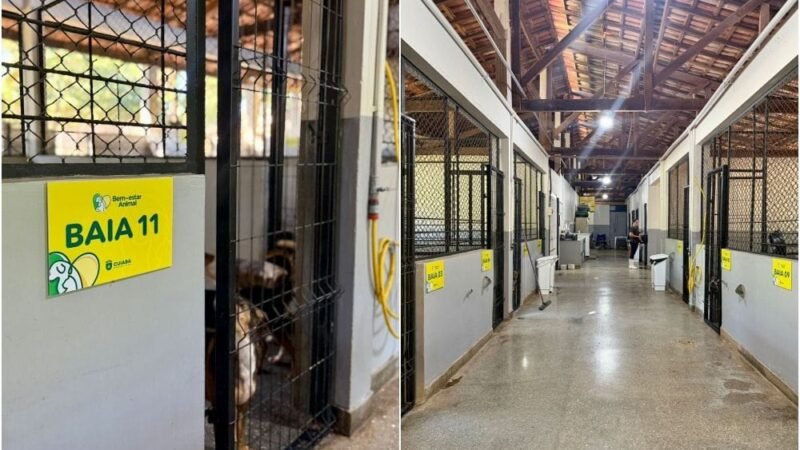 Cuiabá reforça proteção animal e vistorias oficiais não apontam irregularidades