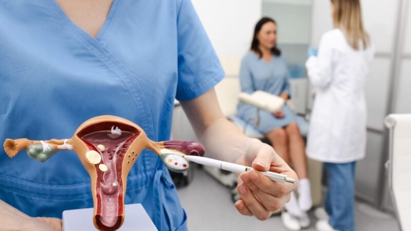 Mais de 7 mil casos de câncer de ovário devem ser registrados no Brasil; diagnóstico tardio eleva mortalidade