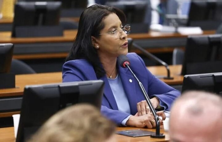 Deputada critica PL que abranda punições à empresas e diz que consumidor pode pagar a conta