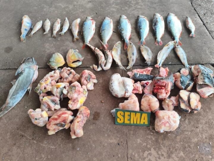 Fiscalização apreende pescado irregular em estabelecimento às margens do rio Cuiabá
