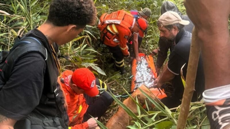 Bombeiros resgatam mulher com vida após oito dias perdida em área de mata