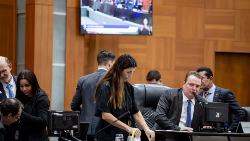 STF tenta acordo em disputa territorial entre MT e Pará; ALMT quer garantir serviços na divisa