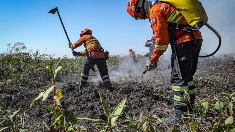 Inscrições para seletivo de brigadistas temporários começam nesta terça-feira