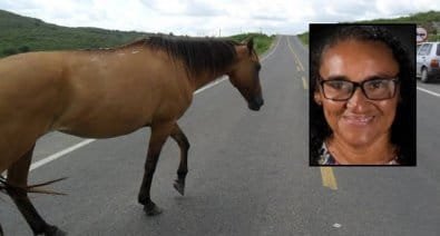 Servidora pública morre após motocicleta atingir cavalo em rodovia estadual em MT