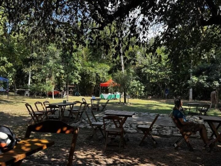 Edição especial da Feira no Museu de História Natural terá “arraiá junino” neste domingo