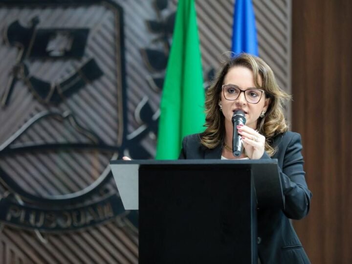“MT tem a estratégia mais consistente de regularização ambiental”, diz secretária