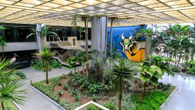 Estado decreta ponto facultativo na sexta-feira; veja como será o funcionamento dos órgãos públicos