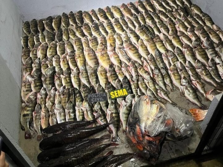 Sema apreende 184 unidades de pescado e carne de caça, e aplica R$ 53 mil em multas