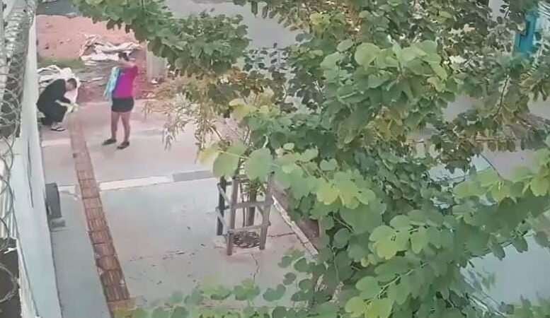 Bombeiro salva recém-nascido de quatro dias que engasgou com leite materno