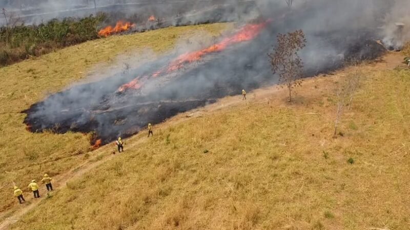 MPF pede plano emergencial e R$ 109 milhões em indenizações à Energisa por incêndio em MT