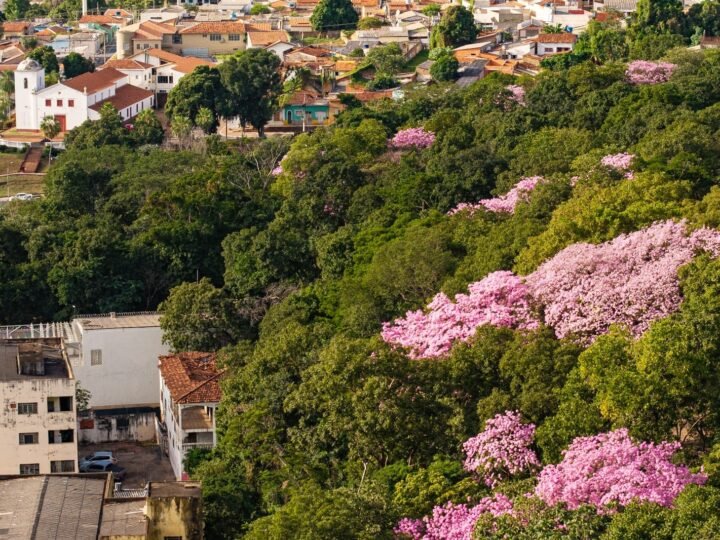Cuiabá é habilitada pela Sema e poderá ampliar atuação no licenciamento ambiental