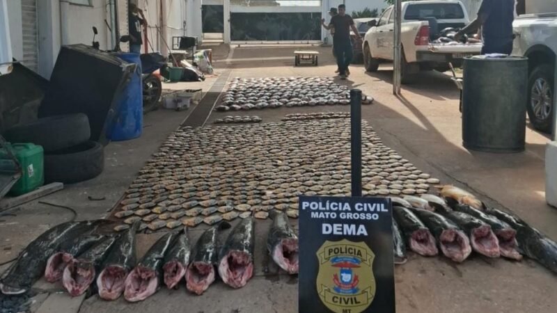 PC apreende mais de 900 kg de pescado irregular e derruba  esquema de pesca predatória