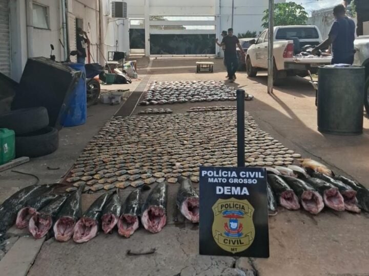 PC apreende mais de 900 kg de pescado irregular e derruba  esquema de pesca predatória em Cuiabá