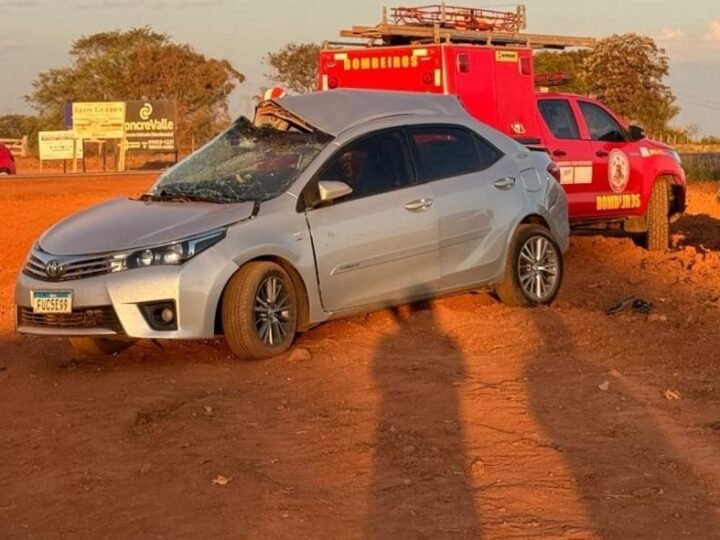 Funcionários da JBS morrem após carro tombar e bater de frente com carreta na BR-174