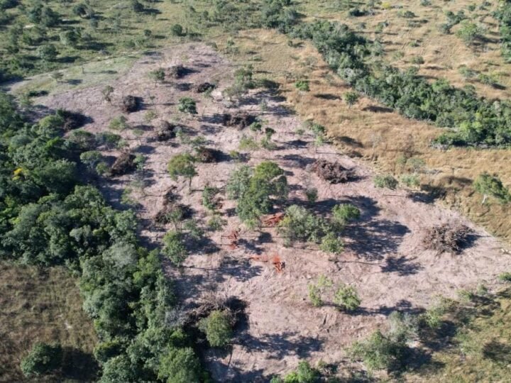 Área em região turística de MT é embargada após denúncia de desmatamento irregular