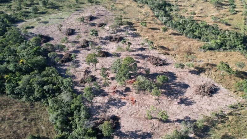 Área em região turística de MT é embargada após denúncia de desmatamento irregular