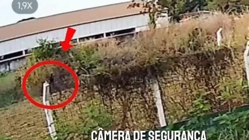 Prefeito pede que polícia identifique autor de incêndio que atingiu placas solares; vídeo