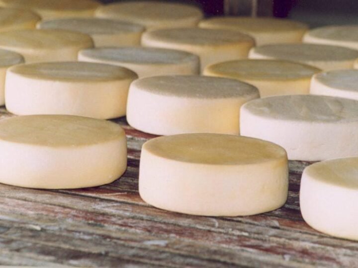 Festival do Queijo destaca força da produção artesanal de Mato Grosso