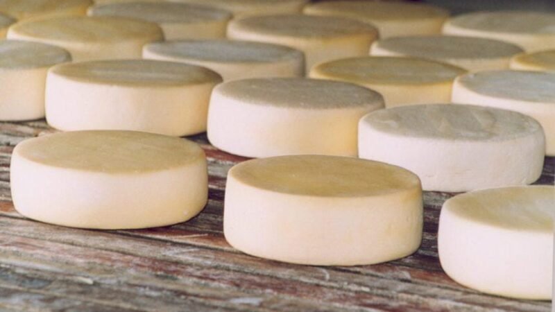 Festival do Queijo destaca força da produção artesanal de Mato Grosso
