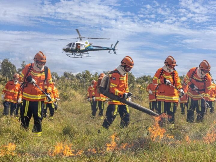 Período proibitivo de uso do fogo começa nesta quarta; CB alerta para estiagem