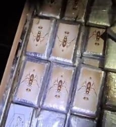 Gefron de MT ajuda prender quatro traficantes e apreende 1,5 tonelada de cocaína no PA