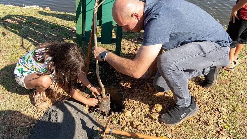 Prefeito envia projeto à Câmara para aumentar multas aplicadas por cortes ilegais de árvores