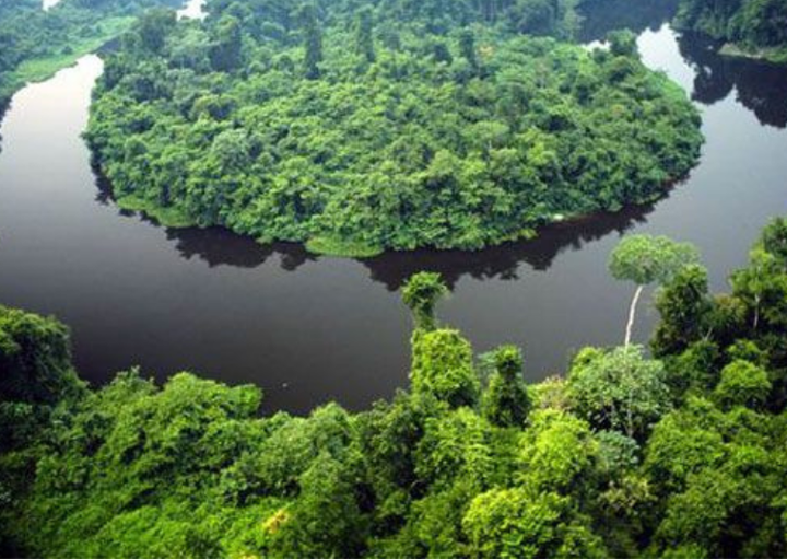 MPF tenta anular acordo que transfere terras públicas de parque estadual a particulares em MT