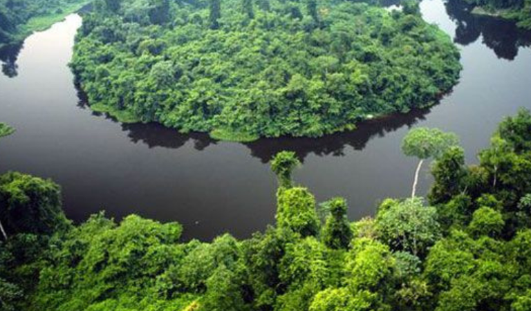 MPF tenta anular acordo que transfere terras públicas de parque estadual a particulares em MT