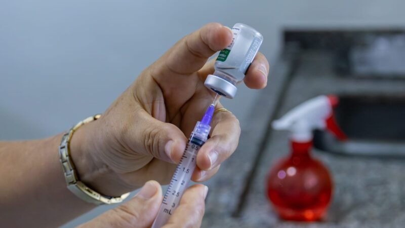 Cuiabá realiza Dia D com vacinação, avaliação bucal e antirrábica para cães e gatos