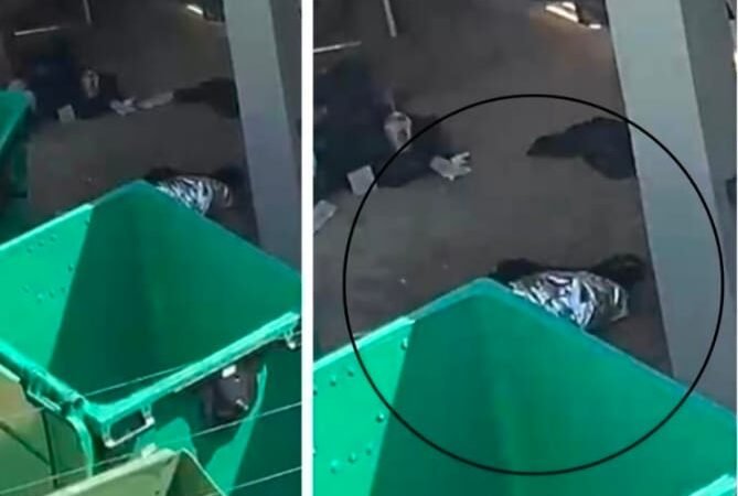 Vídeo de segurança mostra momento em que mulher joga recém-nascida em lixeira em VG